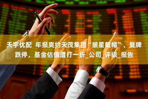 天宇优配  年报爽约天茂集团“披星戴帽”、复牌跌停，基金估值遭打一折_公司_评级_报告