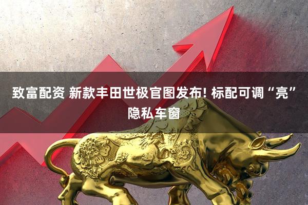 致富配资 新款丰田世极官图发布! 标配可调“亮”隐私车窗